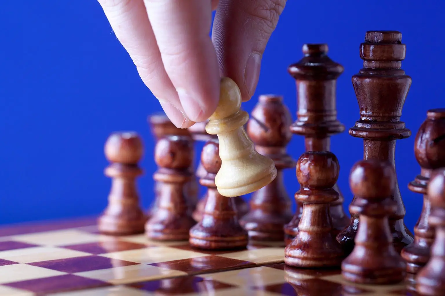 WGM Dina Belenkaya Shares her views on India and Chess 